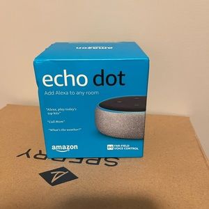 Alexa echo dot